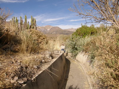26. 9. 2007 7:37:29: Peru 2007 - cesta na Cerro Puca Mauras - cesta zavlažovacím kanálem (Bobek)