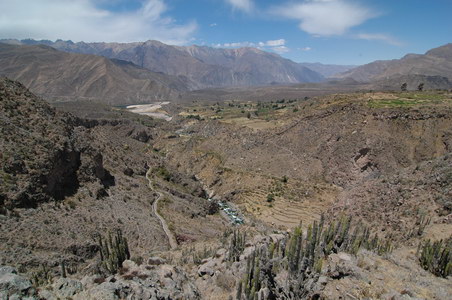 27. 9. 2007 11:56:37: Peru 2007 - cesta do kaňonu na Rio Andagua