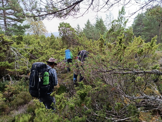 19.08.2024 9:10:22: Skotsko 2024 - Cesta podél říčky Druie (Géďa)