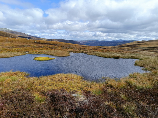 23.08.2024 11:37:41: Skotsko 2024 - Cesta od Loch Muick ke Glenbeg Burn (Géďa)