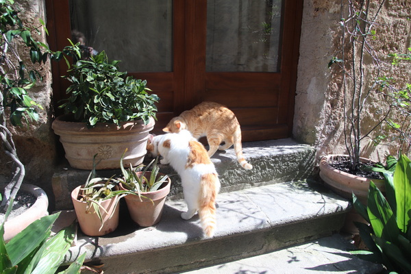 03.04.2026 12:17:52: Toskánsko 2026 - Civita di Bagnoregio (Terka)