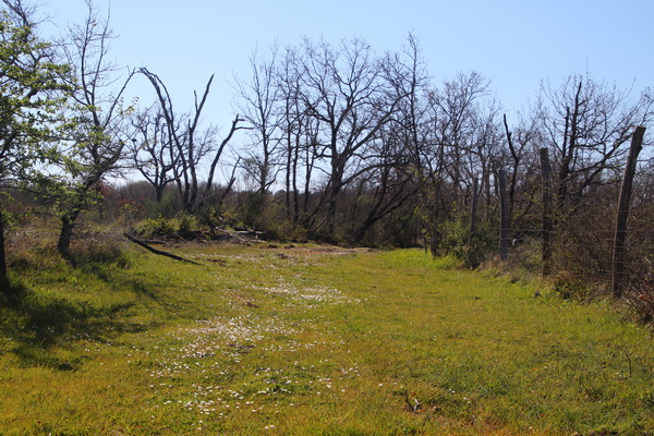 04.04.2026 10:33:47: Toskánsko 2026 - Cesta do Pitilgiana (Vláďa)