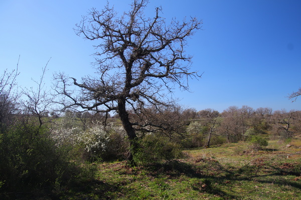 04.04.2026 10:37:15: Toskánsko 2026 - Cesta do Pitilgiana (Vláďa)