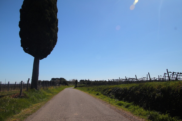 04.04.2026 11:14:23: Toskánsko 2026 - Cesta do Pitilgiana (Terka)