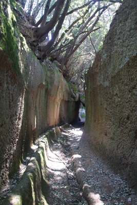 04.04.2026 11:40:23: Toskánsko 2026 - Cesta do Pitilgiana, Via cava di San Guiseppe (Vláďa)