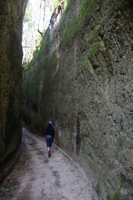 04.04.2026 12:13:11: Toskánsko 2026 - Cesta do Pitilgiana, Via cava di San Guiseppe (Vláďa)