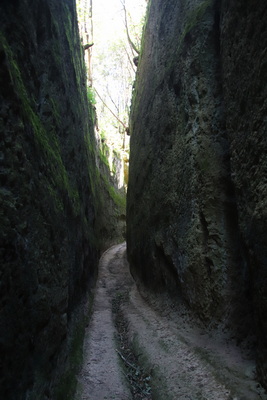 04.04.2026 12:14:08: Toskánsko 2026 - Cesta do Pitilgiana, Via cava di San Guiseppe (Vláďa)