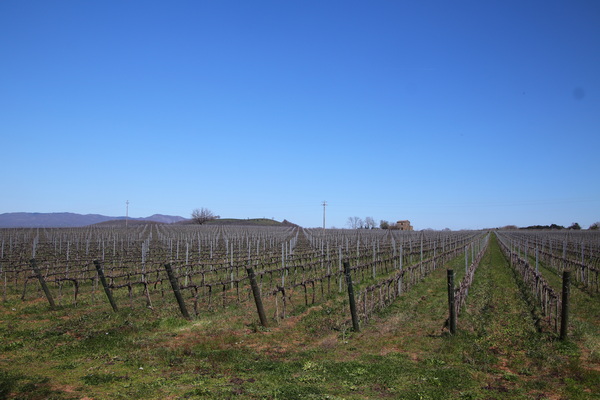 04.04.2026 14:09:12: Toskánsko 2026 - Cesta z Pitigliana (Terka)