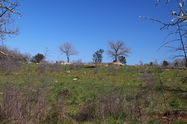 04.04.2026 14:21:35: Toskánsko 2026 - Cesta z Pitigliana (Vláďa)