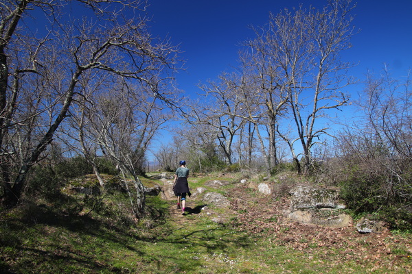 04.04.2026 14:22:05: Toskánsko 2026 - Cesta z Pitigliana (Vláďa)