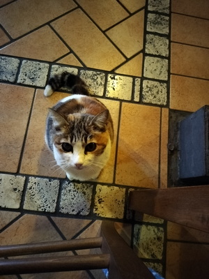 04.04.2026 20:09:48: Toskánsko 2026 - Sovana (Terka)