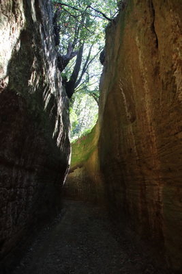 05.04.2026 10:51:20: Toskánsko 2026 - Etruská nekropole (Vláďa)