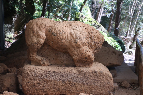 05.04.2026 11:36:37: Toskánsko 2026 - Etruská nekropole (Vláďa)