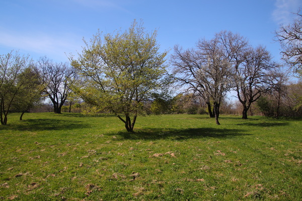 05.04.2026 15:38:54: Toskánsko 2026 - Vitozza (Vláďa)