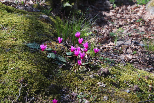 05.04.2026 15:46:22: Toskánsko 2026 - Vitozza (Vláďa)