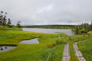 Hačimantai