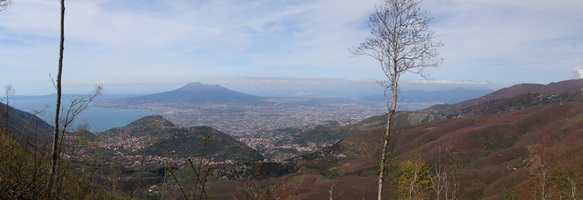 Colle Sughero
