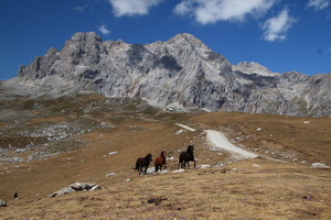 Picos de Europa