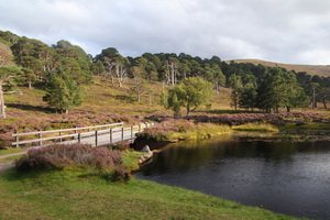 Glenbeg Burn